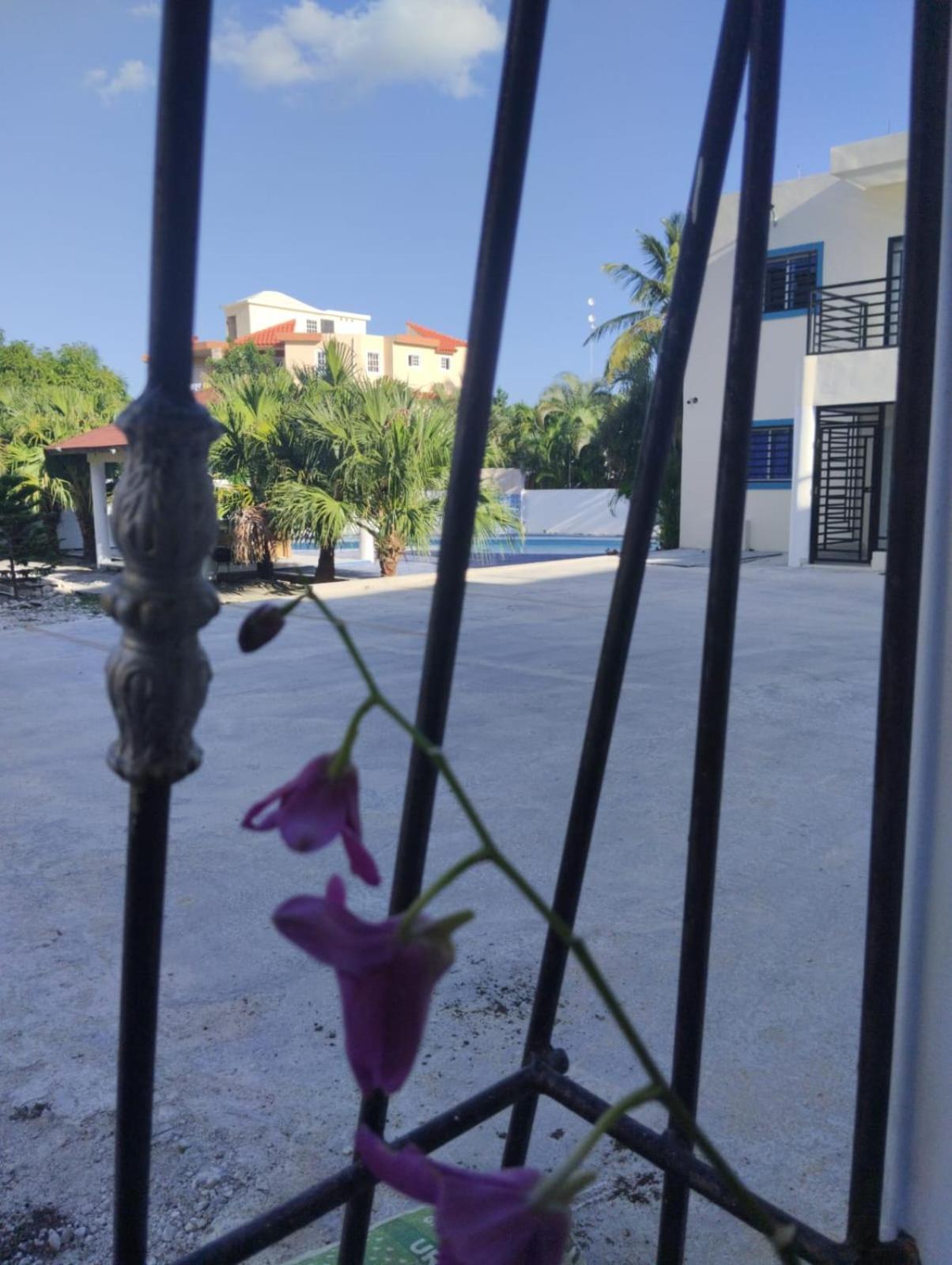 Nely Y Pietro Share Apartment Punta Cana Exterior photo